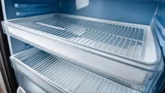 黄ばんだ冷蔵庫のパーツを再び白くする方法：家にある3つの材料でできる