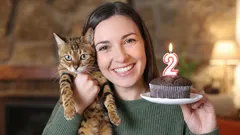 愛猫の誕生日：お祝いアイデア4選