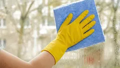 この春、窓を洗うには何を使えば、深い秋まで輝き続けるか：酢とでんぷんは忘れてください