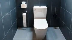 便座の蓋は毎回閉めましょう：ほとんど知られていない意外な理由