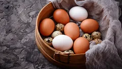 興味深い事実：毎日卵を食べると、体に何が起きる？