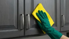 10分で重曹を使わずにキッチンの表面の油汚れを落とす方法:高価な化学薬品を使わない簡単な家庭用洗剤