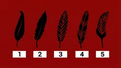 最初に気に入った羽が、心理学者以上にあなたのことを語る