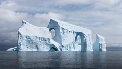 南極で正体不明の巨大な卵が発見された