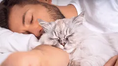 猫は家族の中で飼い主をどう選ぶの？